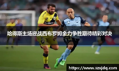 哈得斯主场迎战西布罗姆全力争胜期待精彩对决